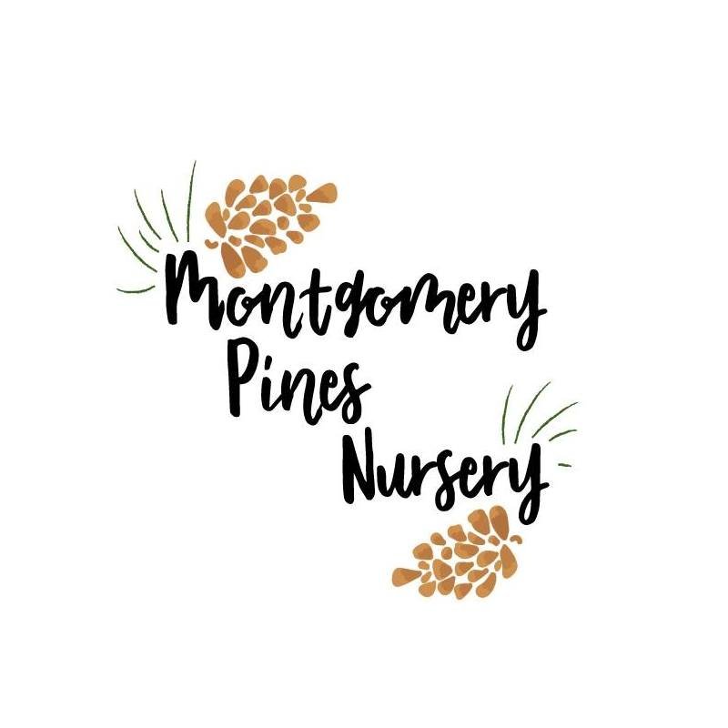 Montgomery Pines Nursery